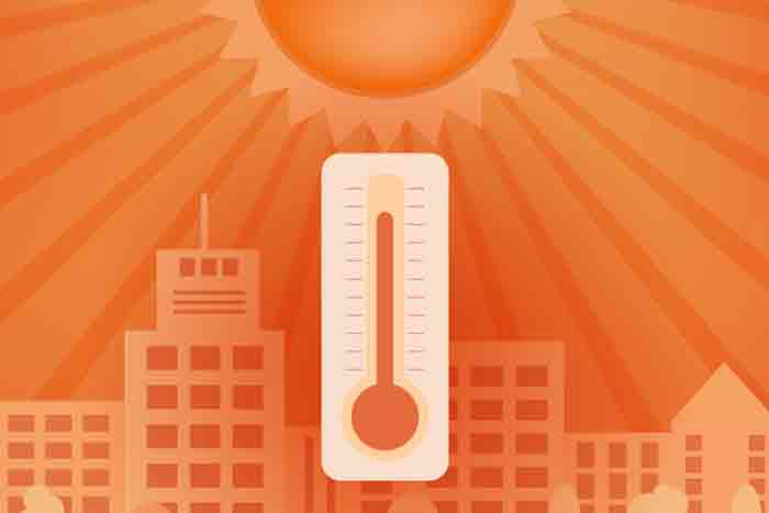 Article sur la canicule et les décès en France